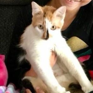 Meet your Posher, Janae